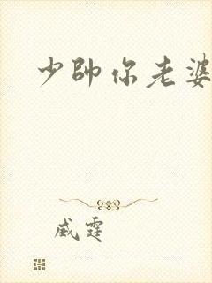 少帅你老婆