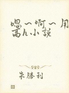 嗯～啊～用力～高h小说