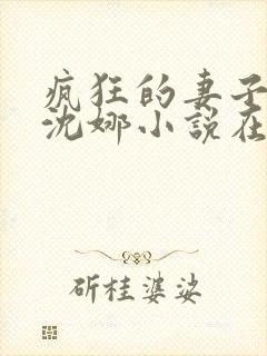 疯狂的妻子林瑶沈娜小说在线阅读