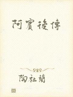 阿宾后传