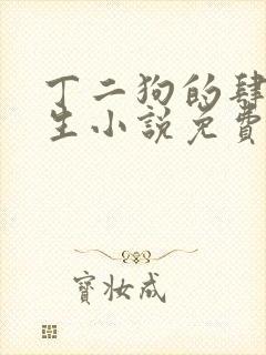 丁二狗的肆意人生小说免费阅读