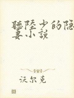 听陆少的隐婚罪妻小说封面