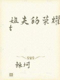 姐夫的荣耀txt