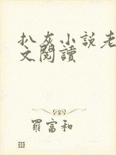 扒灰小说老马全文阅读封面