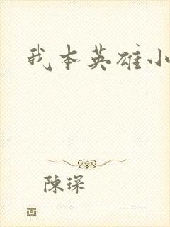 我本英雄小说