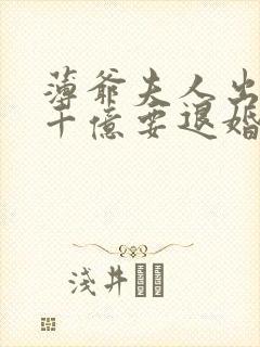 薄爷夫人出价一千亿要退婚txt小说下载