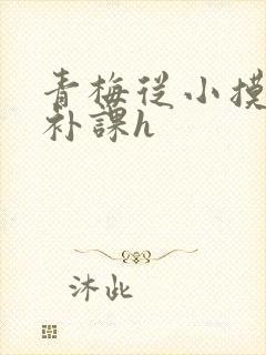 青梅从小摸到大补课h