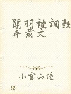 关羽被调教h玩弄黄文