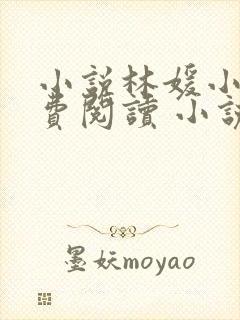 小说林媛小正免费阅读 小说