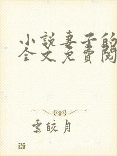 小说妻子的秘密全文免费阅读