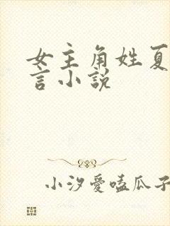 女主角姓夏的现言小说