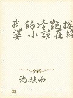 我的冷艳总裁老婆 小说在线阅读封面