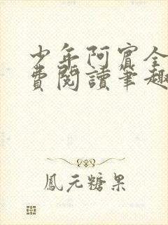 少年阿宾全文免费阅读笔趣阁