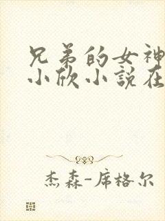 兄弟的女神女友小欣小说在线阅读