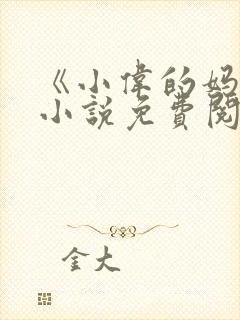 《小伟的妈妈》小说免费阅读
