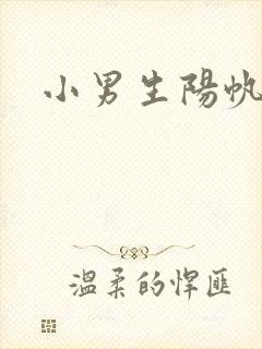 小男生阳帆