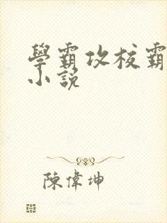 学霸攻校霸受的小说