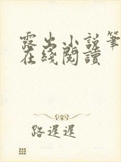 露出小说笔趣阁在线阅读
