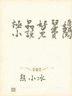 极品好儿媳苏茜小说免费阅读全文封面