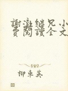 谢澈继兄小说免费阅读全文封面