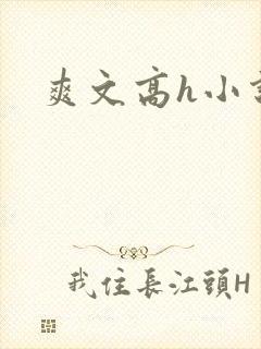 爽文高h小说