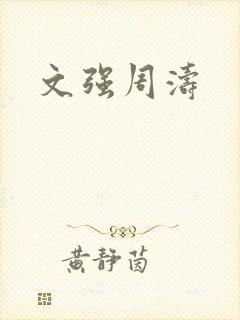 文强周涛