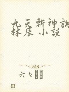 九天斩神诀小说林辰 小说