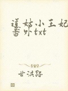 道姑小王妃附带番外txt