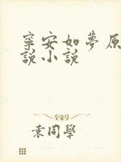 宁安如梦原著小说小说