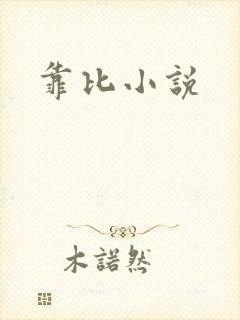 靠比小说