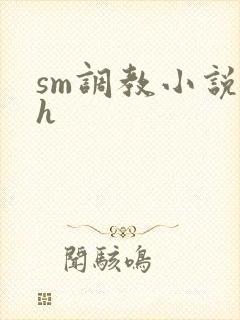 sm调教小说高h