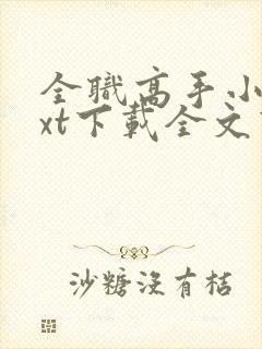 全职高手小说txt下载全文下载