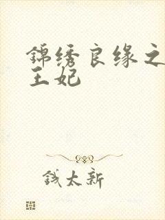 锦绣良缘之北地王妃