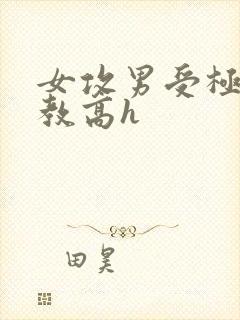女攻男受极限调教高h