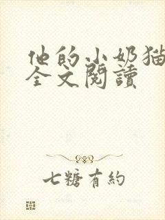 他的小奶猫小说全文阅读