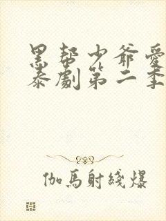 黑帮少爷爱上我泰剧第二季封面