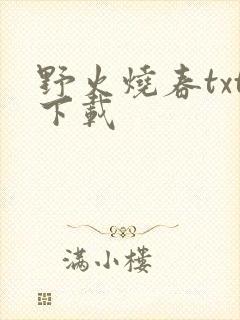野火烧春txt下载
