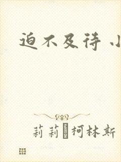 迫不及待 小穴