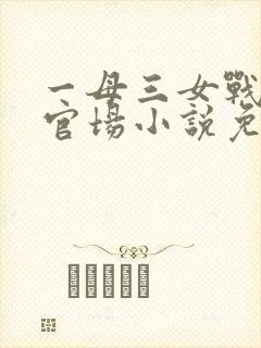 一母三女战一婿官场小说免费阅读封面