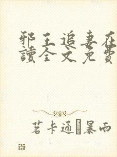 邪王追妻在线阅读全文免费