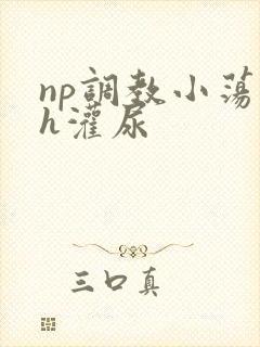 np调教小荡货h灌尿
