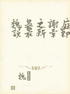 魏晏之谢庭书小说最新章节免费阅读