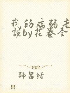 我的病弱老婆小说by花卷全文封面