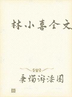 林小喜全文阅读封面