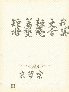 短篇辣文我和岳坶双飞合集