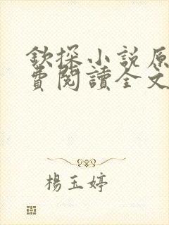 钦探小说原著免费阅读全文