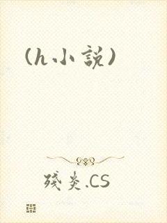 (h小说)