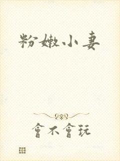粉嫩小妻封面