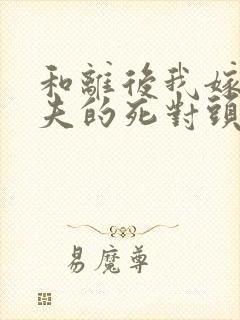 和离后我嫁给前夫的死对头小说