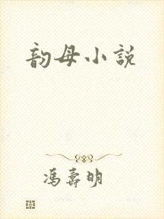 韵母小说封面